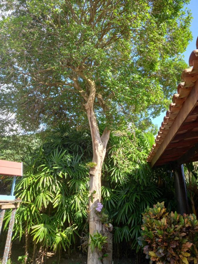Família Silvia Périco Vila Ilhabela Exterior foto
